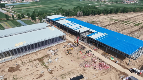 廠房鋼結構網架